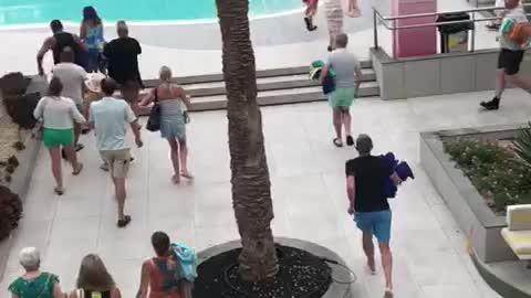 Another Day, Another Rush for the Sunbeds