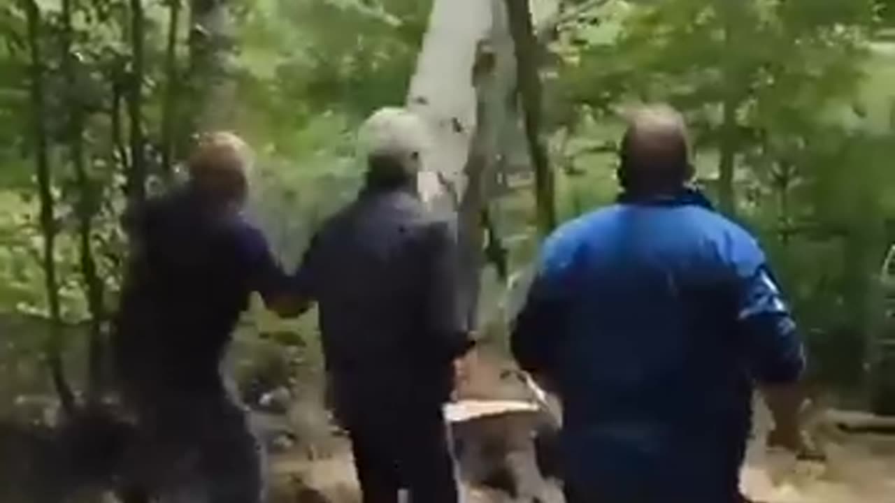Funny video🤣😂