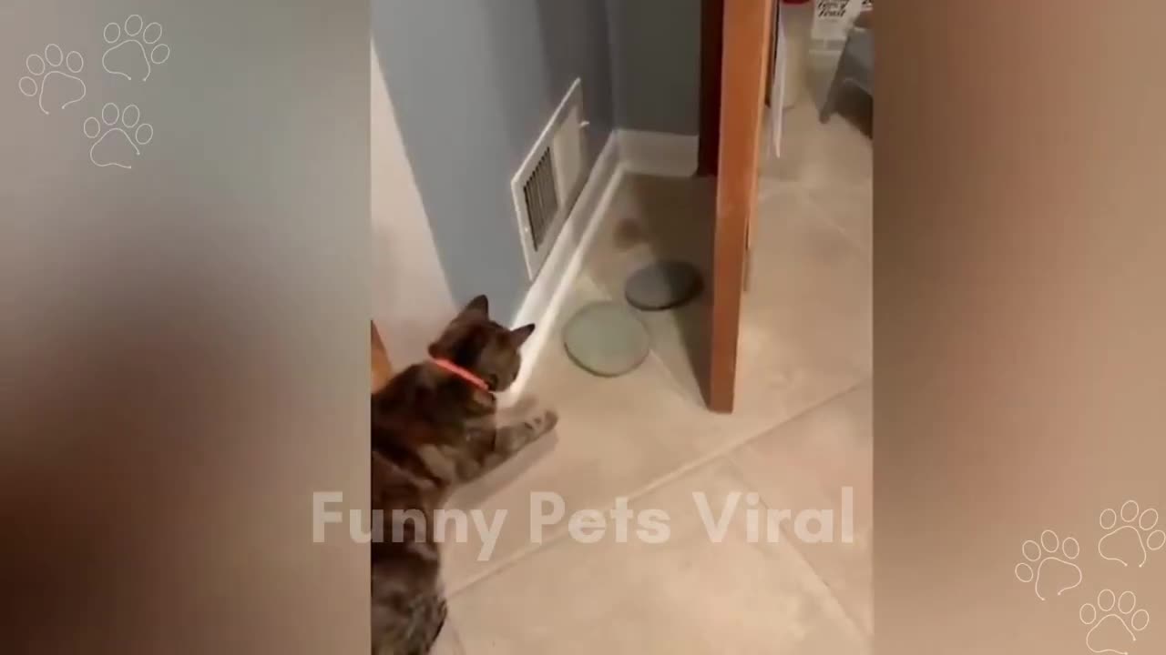Funny Animal Videos 2023 🥰 - Funniest Dogs and Cats Videos 😅 #1 #funnypetsviral