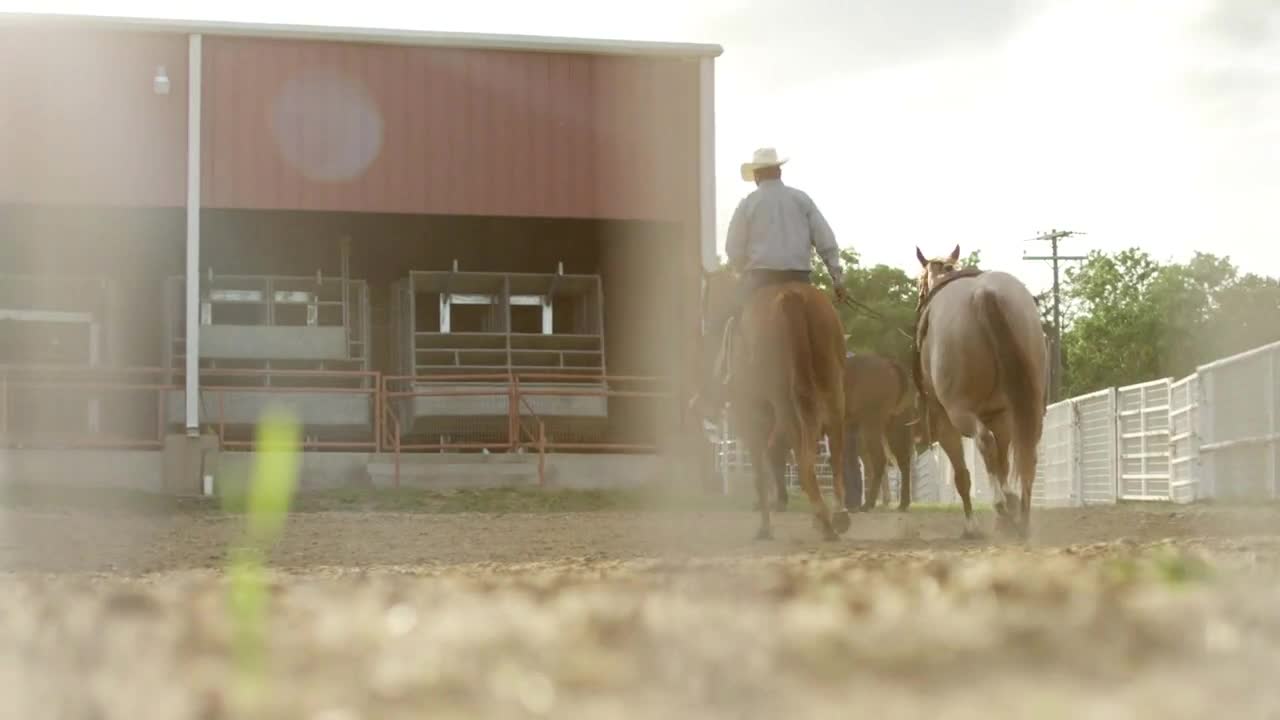 Rodeo Cowboy & Horse, Texas