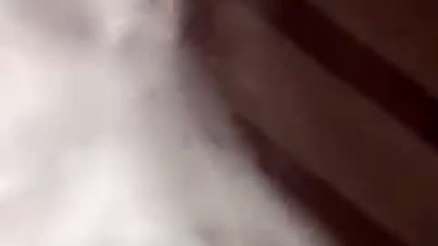 Aegis X cloud chasing