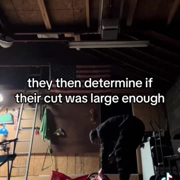 Definition of Taxation..and SLAVERY...!!!!!