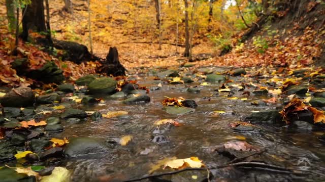 Autumn in Quebec - a blockbuster of beautiful scenery in Canada