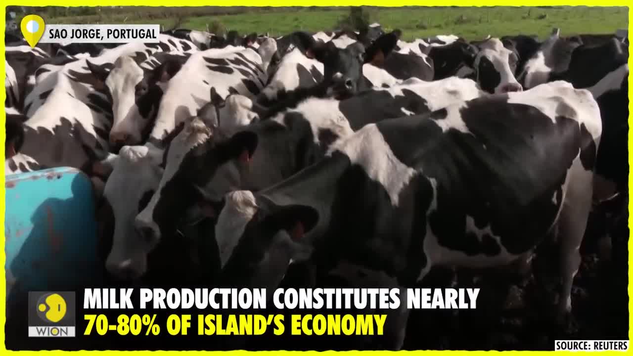 Why these islanders in Portugal are scared of earthquakes _ WION Edge