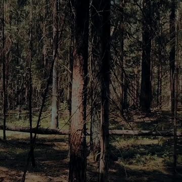 БУДЬ САМИМ СОБОЙ #tompitai