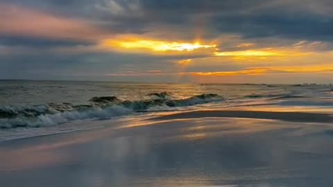 Amazing video viral video short rumble 2023