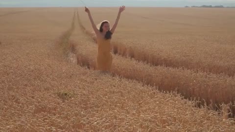 Relaxing Music | Sleeping, Meditation, Stress Relief | [1622] ⭐️