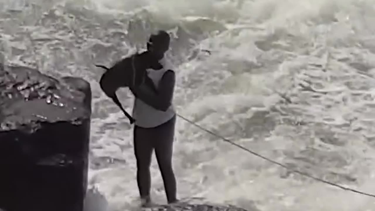 DOG FALL IN DAM