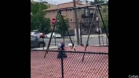 animal funny video😆😆😆😆😆😆😆👍👍😆👍