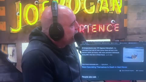 Theo Von about Bee's dying