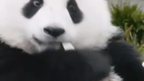 It feels great to be fed and taken care of!