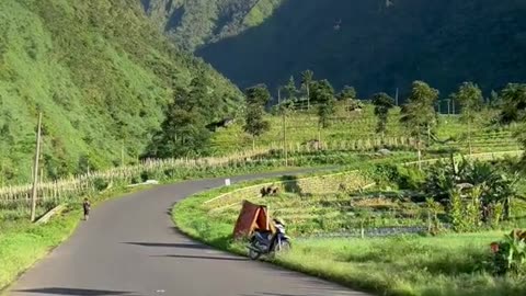 Indonesian Street View