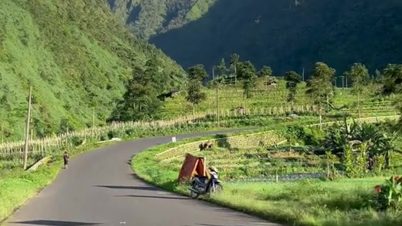 Indonesian Street View