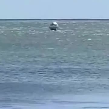 sphere.mp4 | USO/UFO in water Caught on tape UAP Creepy Paranormal Cryptid Alien Ufologia👽 ufotikto