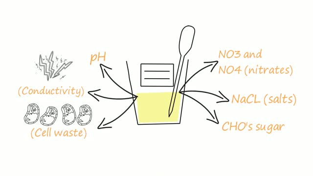 Introduction to Dr. Carey Reams’ Biological Theory