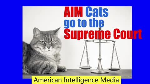 AIM Cats go to SCOTUS on behalf of the PEOPLE