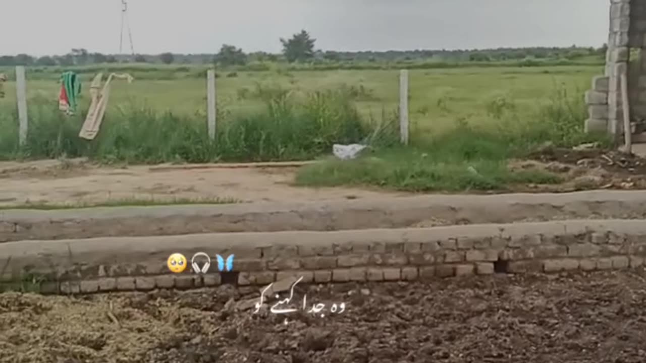 Village life dairy farming