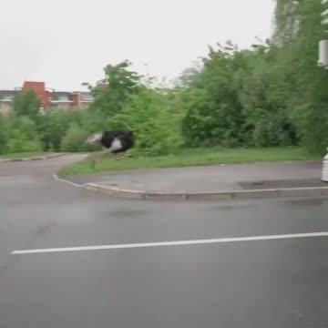 Real Life Road Runner!