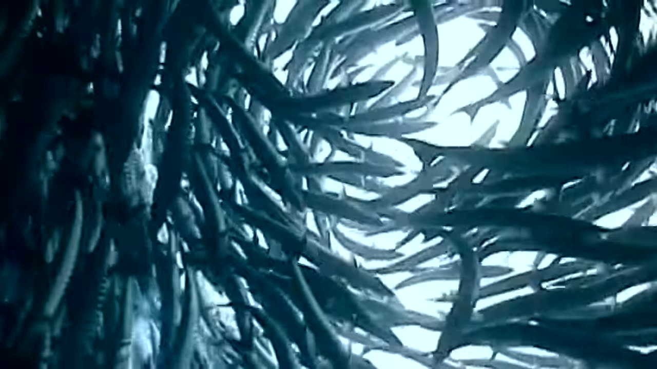 God of Wonders (2008) Full Movie John Whitcomb Dan Sheedy Don B. DeYoung