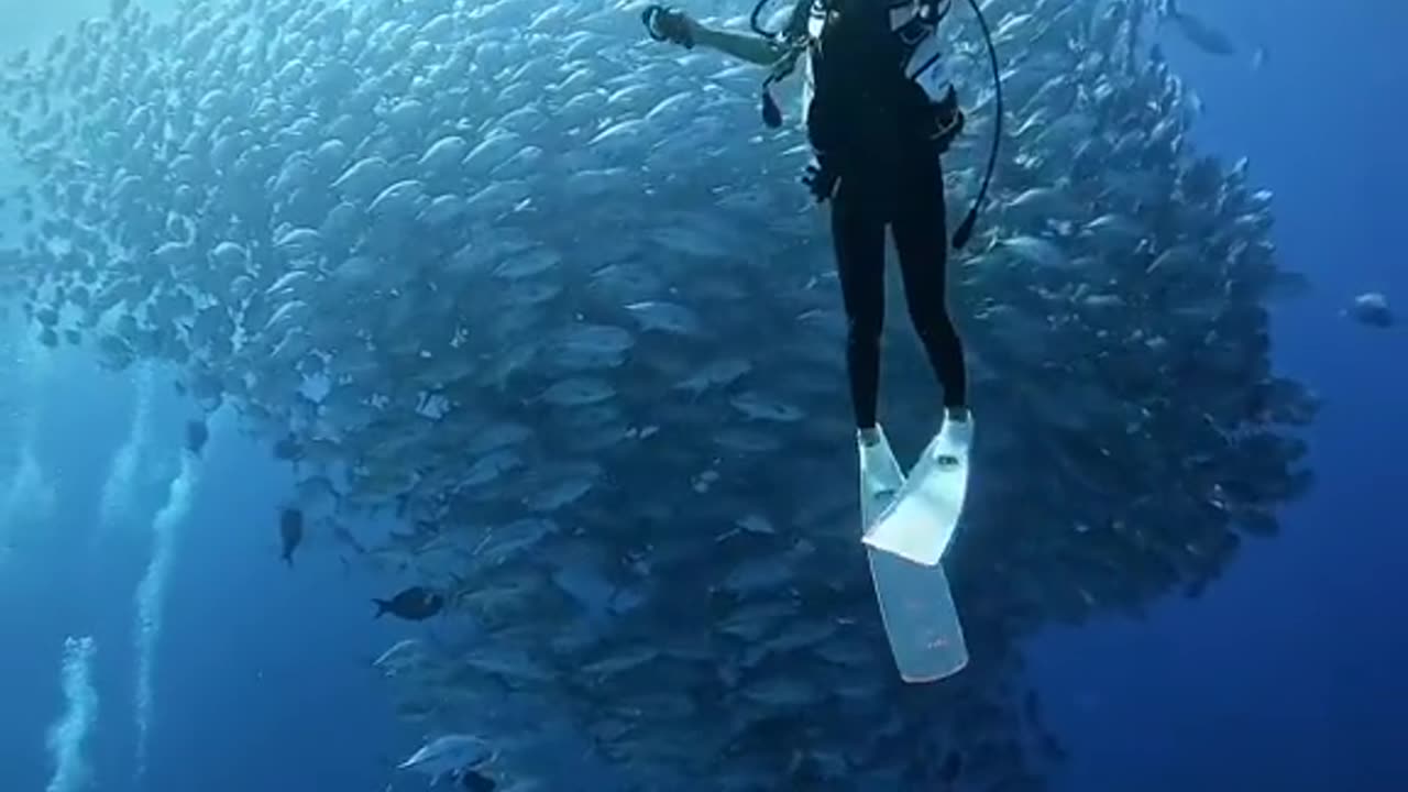 Amazing world