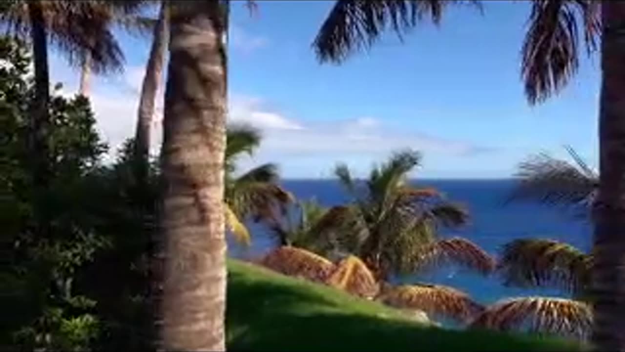 CUP!D$ ep 185 193.mp4