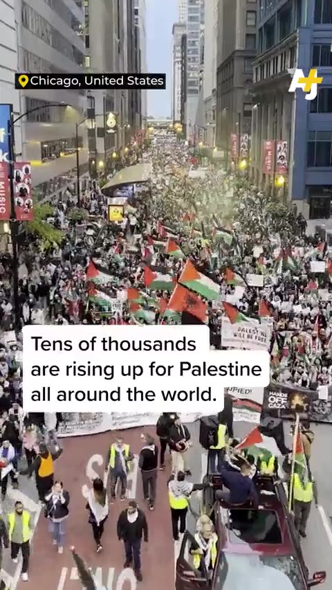The entire WORLD stands with 🇵🇸!