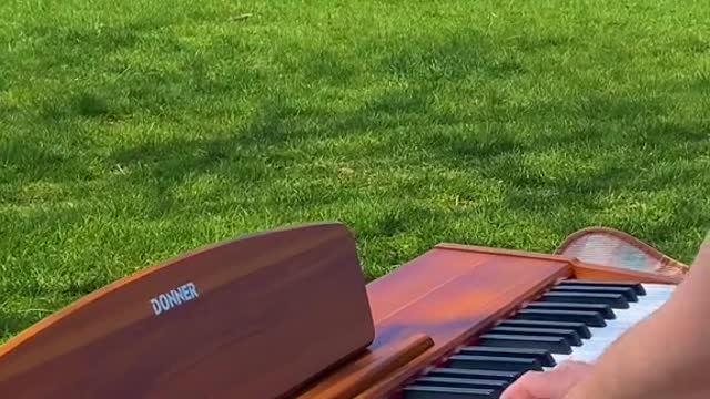 How would u react to this #cyran #avicii #donnermusic #robertmiles #piano