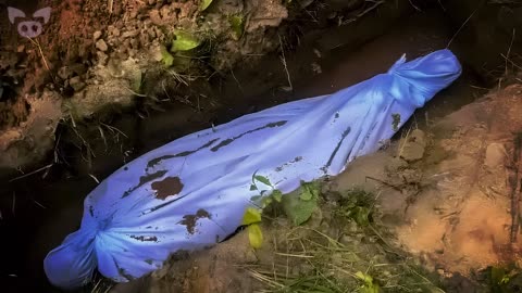 Scary Footage That You Need to See!