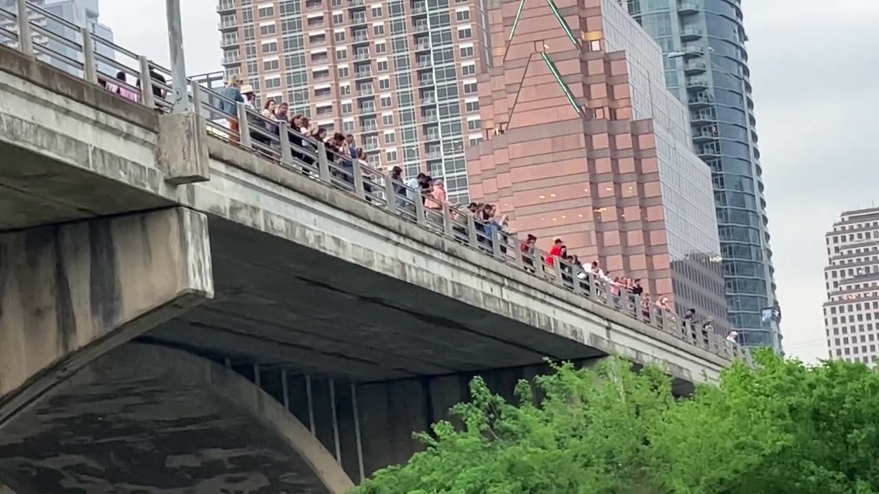 Austin Texas Bat Bridge | World Travel