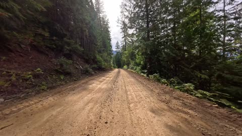 Mabel FSR 38km to 30km September 2024