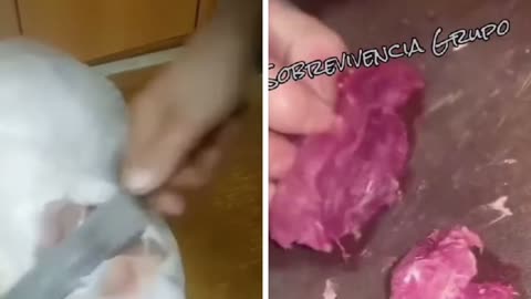 La carne como va saliendo