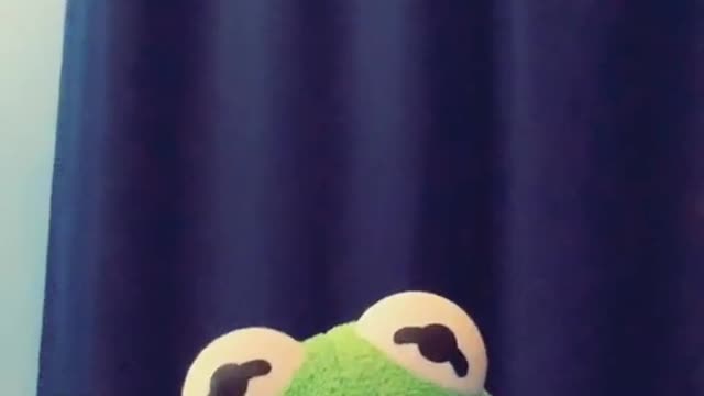 Please help , I don’t know her 🐸 vs 🐷