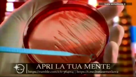 "Never Again Is Now Global", una docuserie in cinque parti