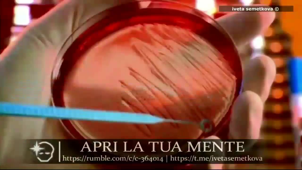 "Never Again Is Now Global", una docuserie in cinque parti