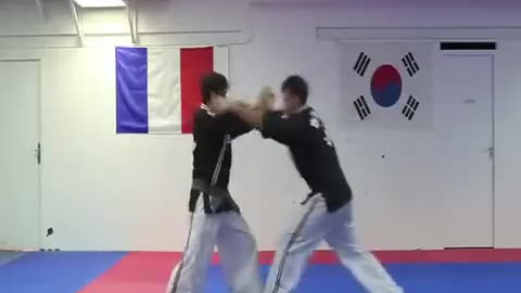 Hapkido