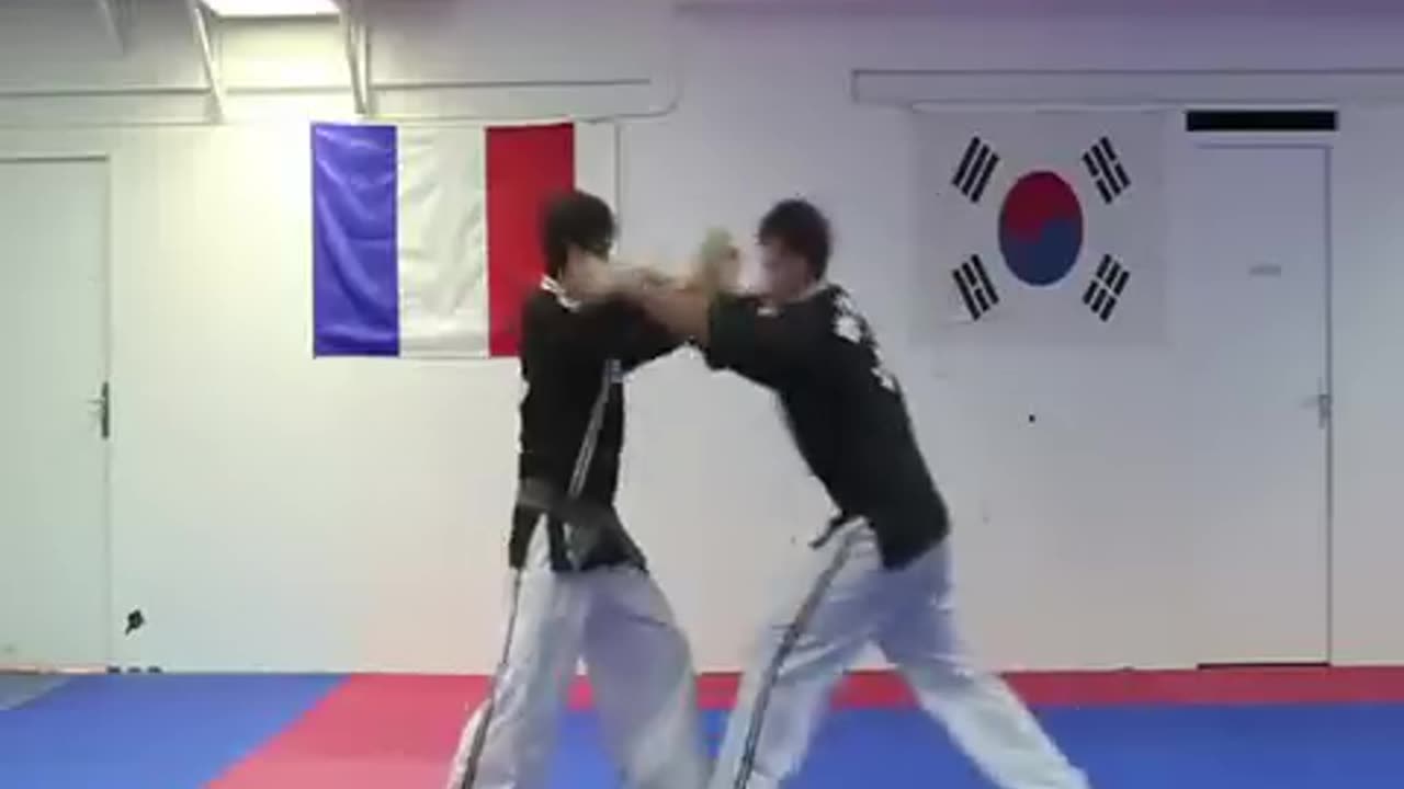 Hapkido