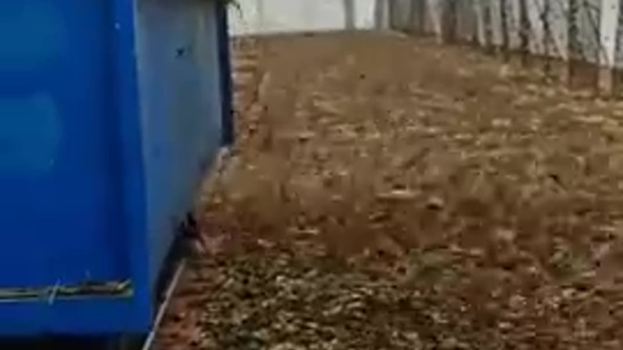 Why?