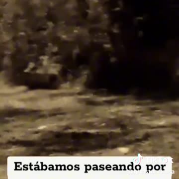 What is going on here?