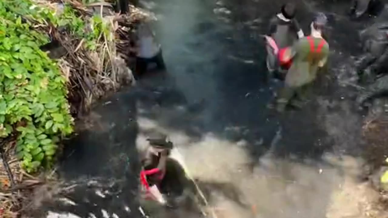 How are you doing ❣️to be a new season release of