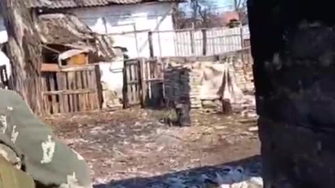 Ukraine War - The work of grenade launchers of the 6th battalion of the DPR