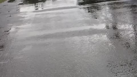 Rain Day beautiful place and beautiful full street shoot