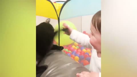 Funny Babies Playing With Cats - Newborn Babies and Pets