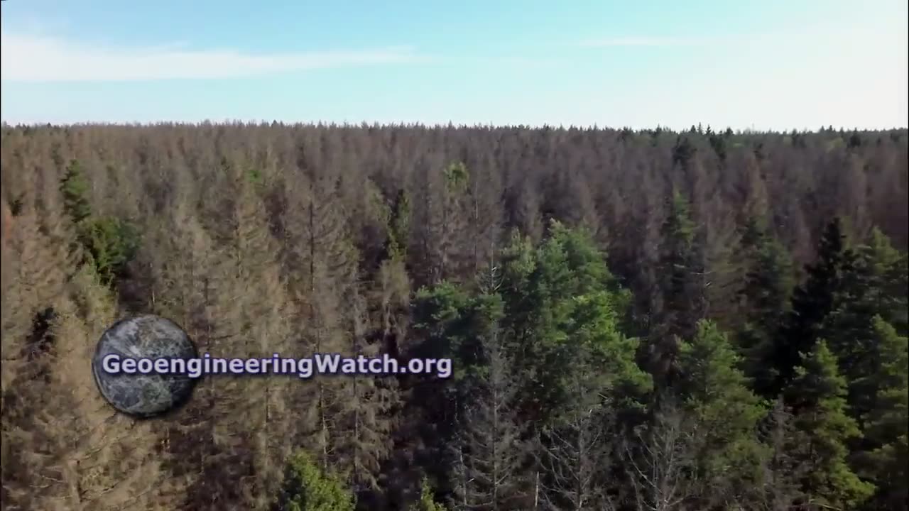 GeoEngineering | Defoliation and Dying Trees