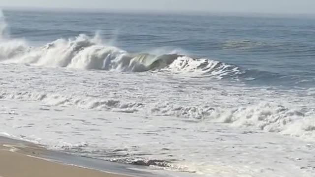 you pull up to the beach and see this wyd?