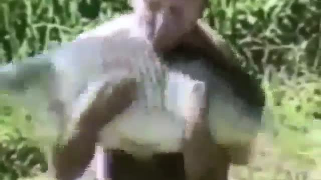 The restless fish cannot be held