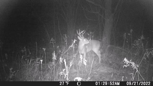 BIG BUCK!...Across the street from CL and D(Cardinal Ln.)! 1/21/23