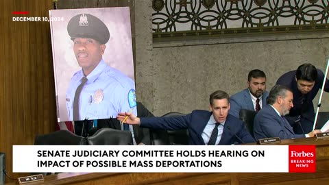 'It's Right Here In Your Testimony!' Josh Hawley Absolutely Loses It On Democrats' Witness