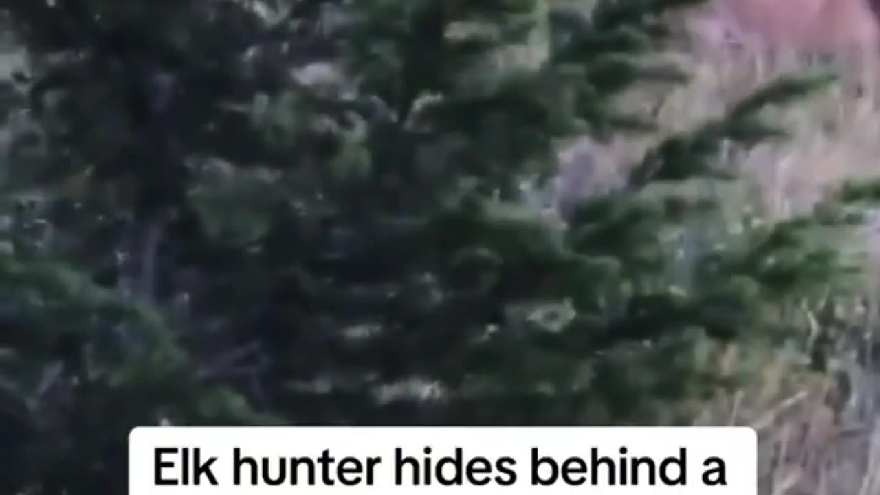 3 Mountain Lions While Hunting