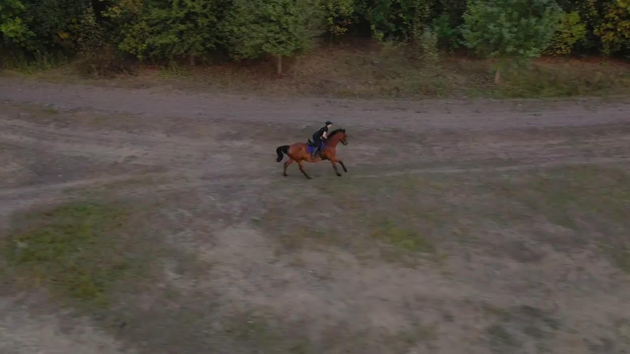 Aerial view of woman riding a brown horse by gallop outdoors