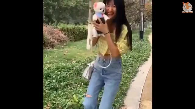 Most Famous Pomeranian TikTok Compilation 2021